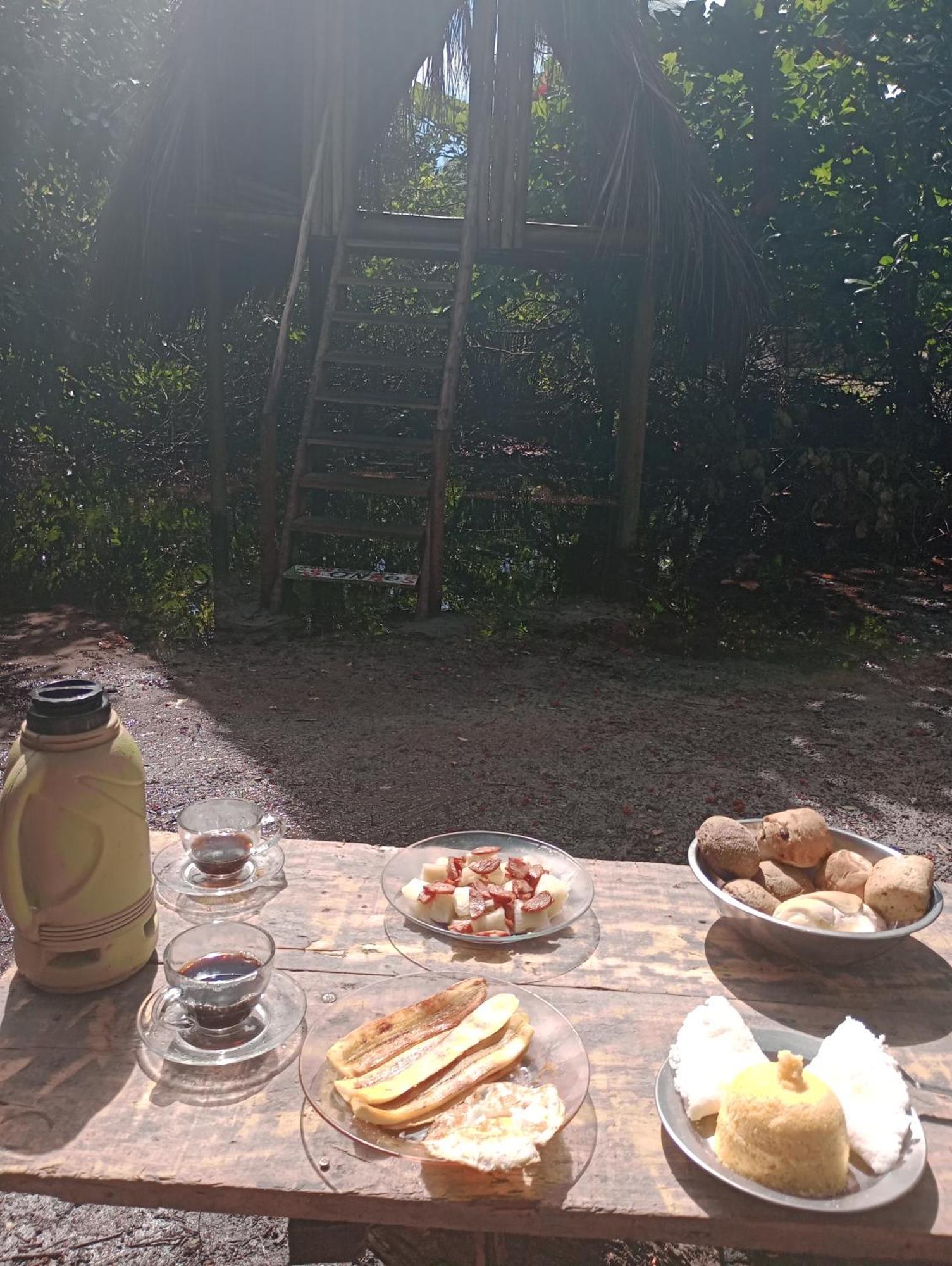 Campsite Bem-te-vi *