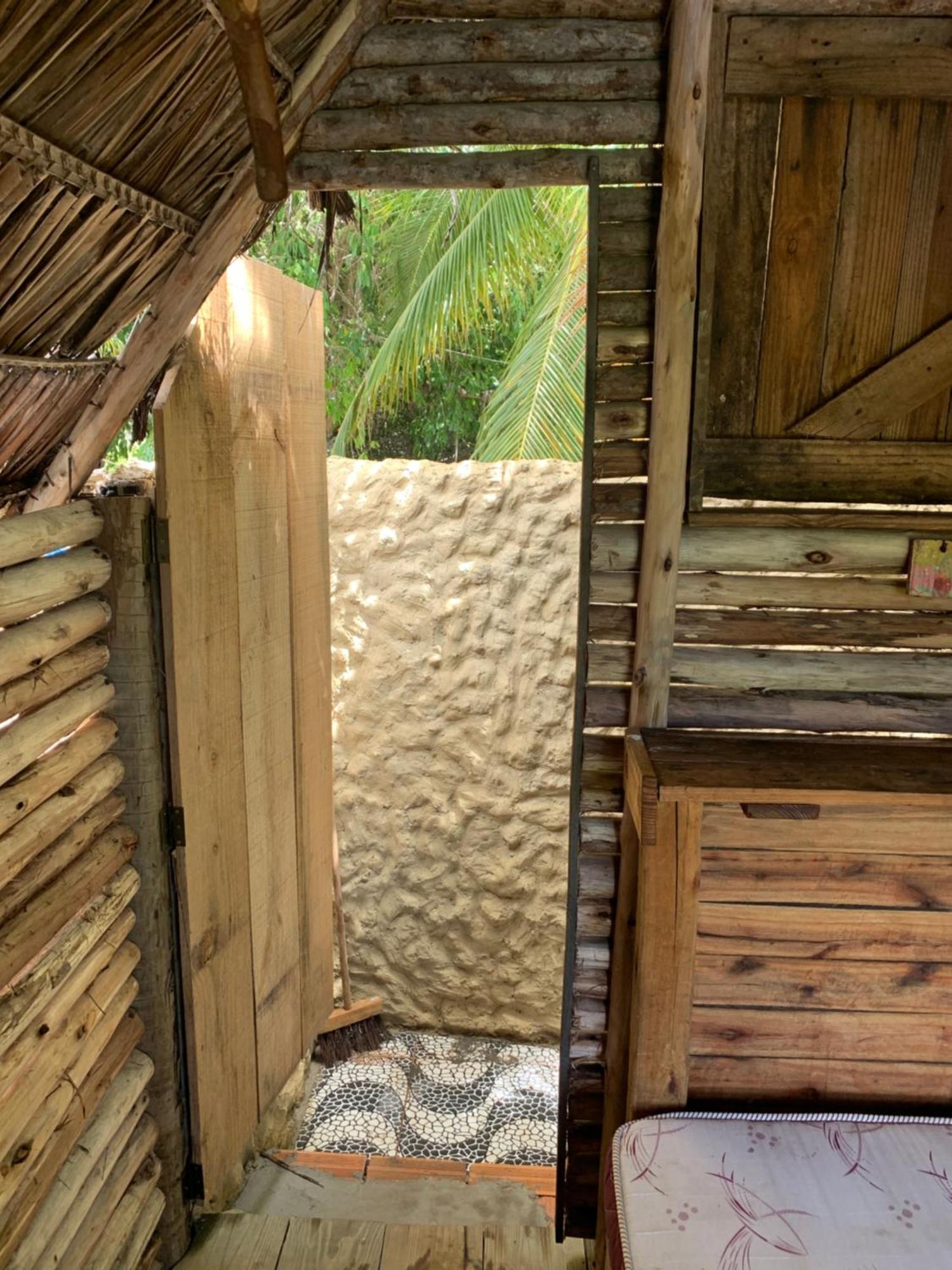 Bem-te-vi Camacari